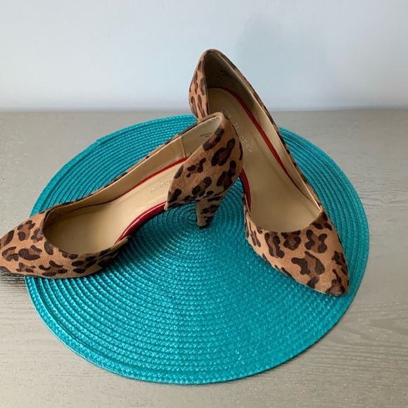 Classy , CL by  Laundry - Picture 3 of 4